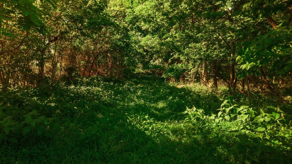 Picture 10