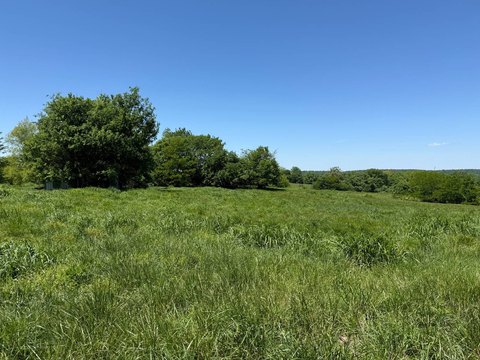 Pope County Hunting and Recreation Land