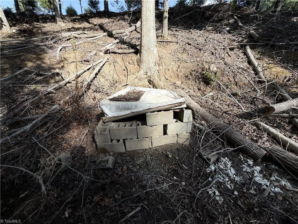 Picture 12