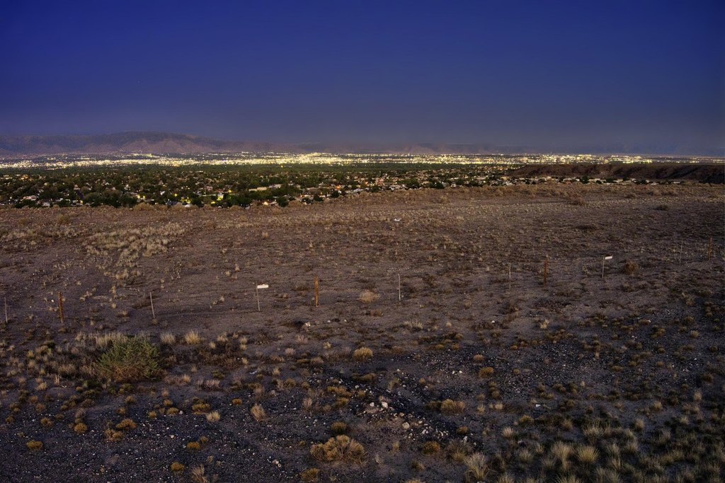 Picture 20