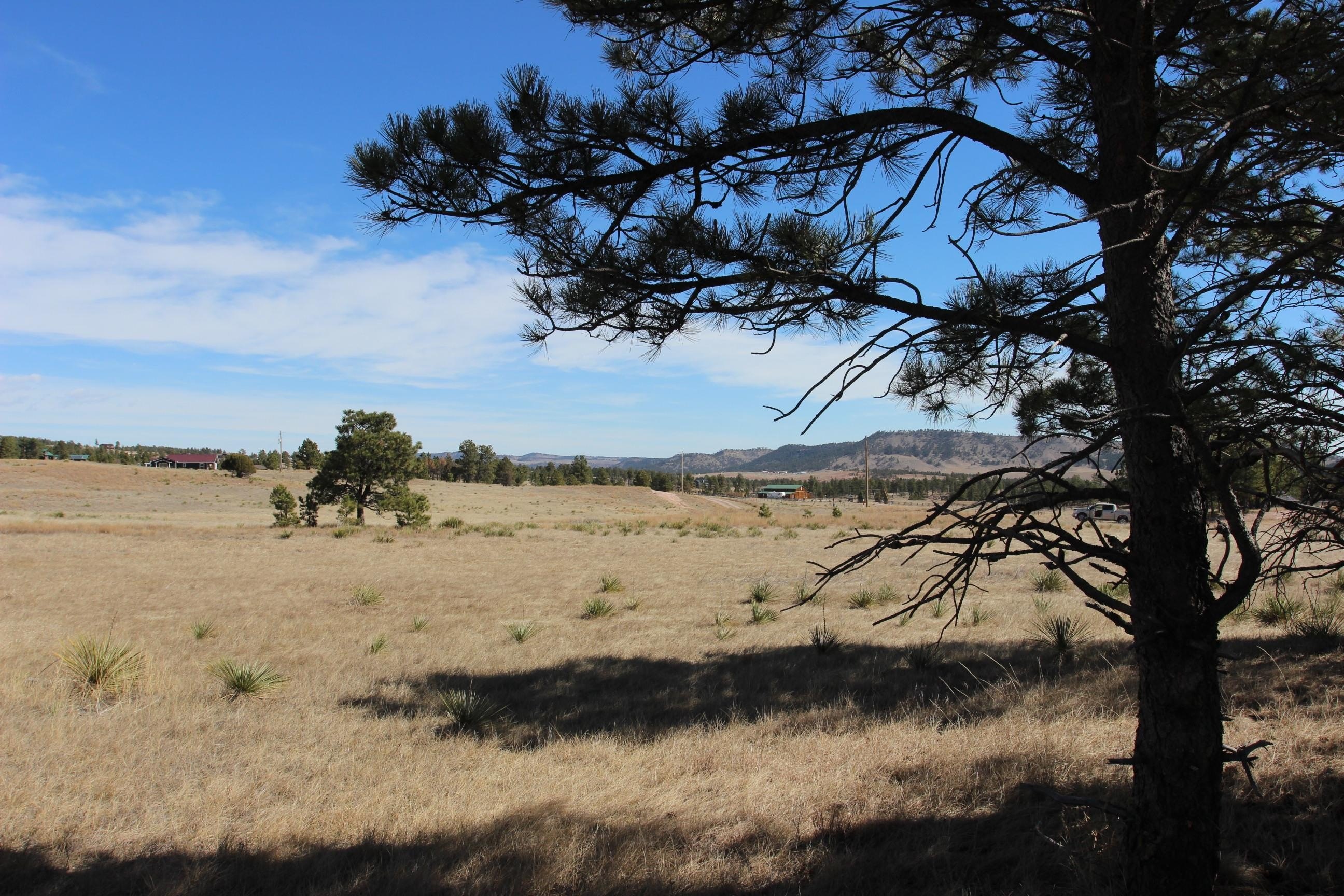 Southern Black Hills Acreage