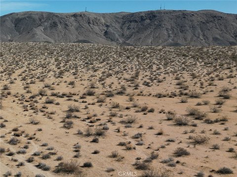 LAND - Joshua Tree, CA