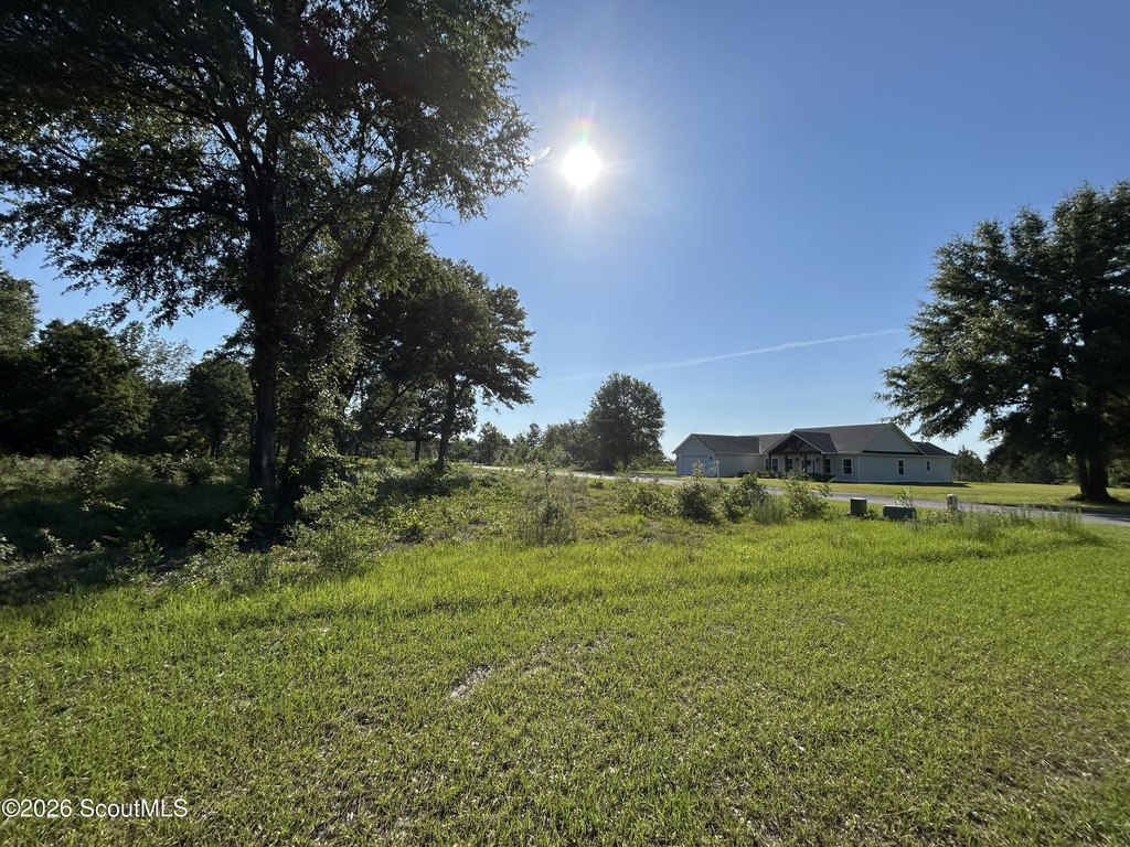 Picture 13