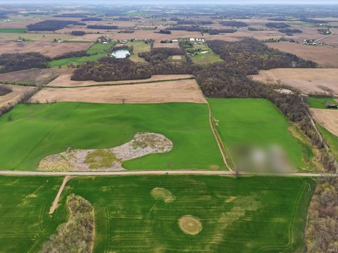 49 Acres Agricultural Land Opportunity