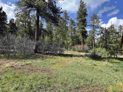 Land in Pagosa Springs, CO