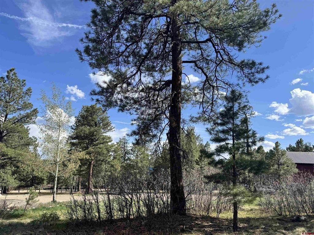 Picture 3