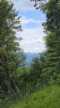 Mountain View Homesite in Waynesville