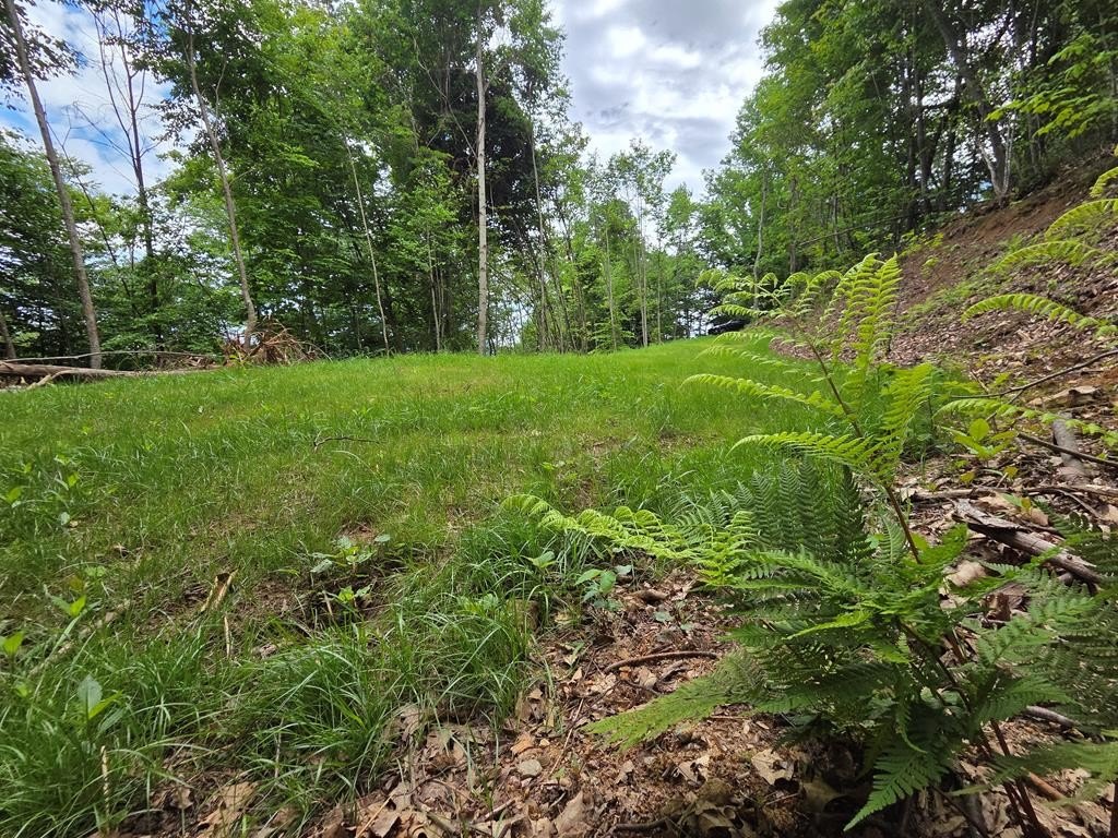 Picture 21