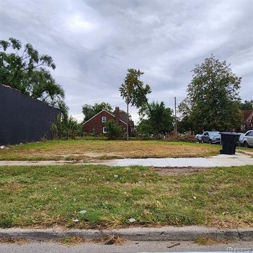 Detroit Land for Infill Development