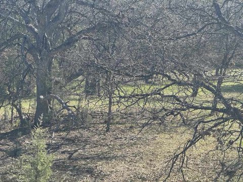 Land Near Interstate 5