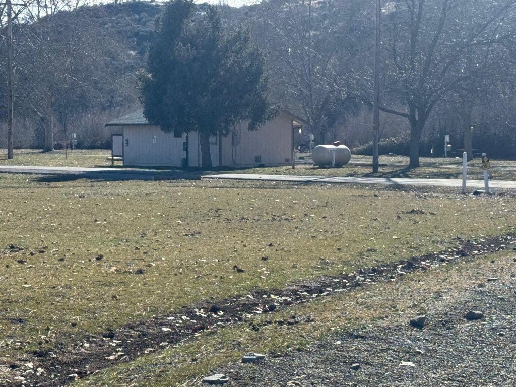 Picture 13