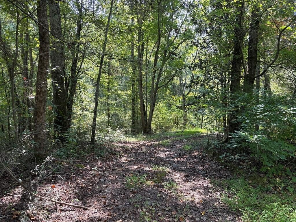 Residential Land in North Forsyth