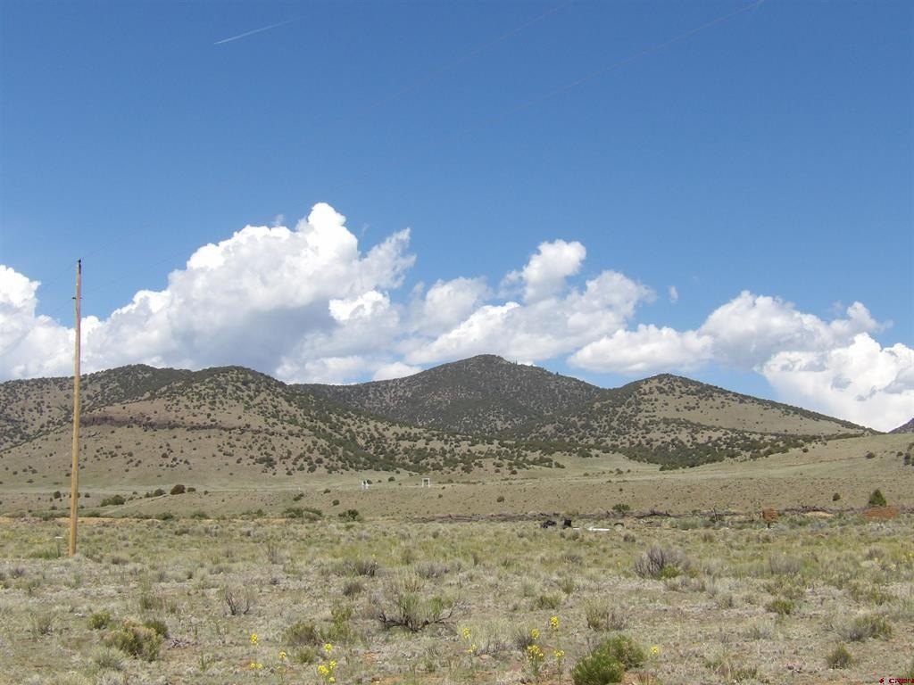 Picture 29