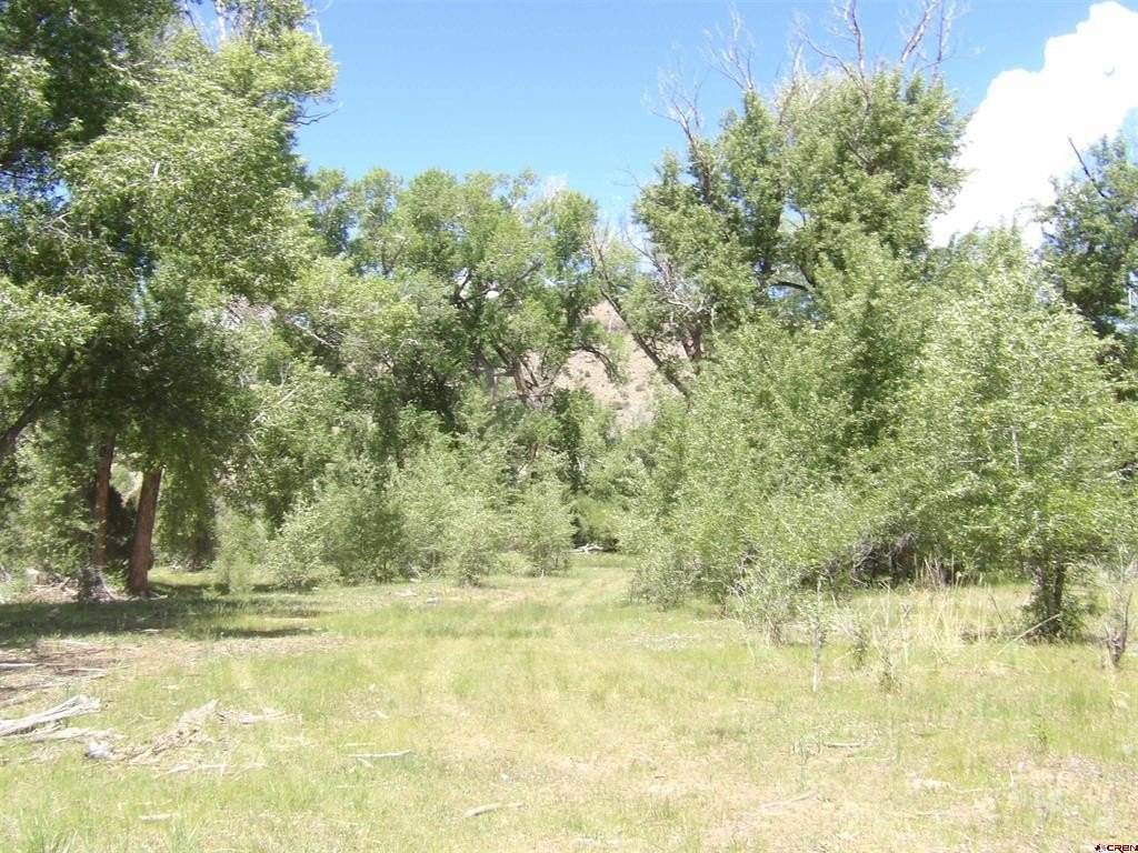 Picture 23