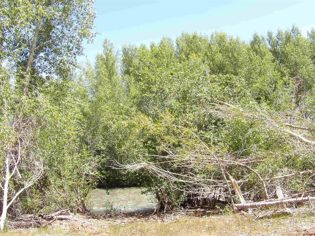 Picture 18