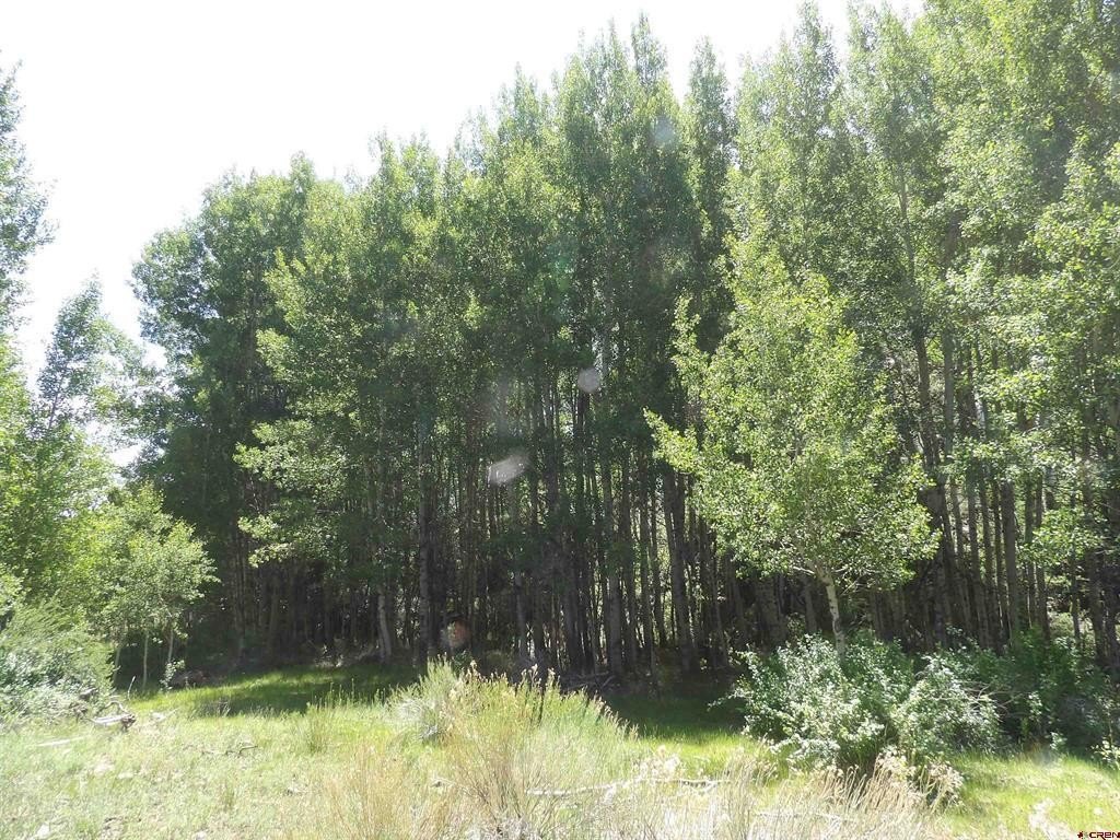 Picture 16