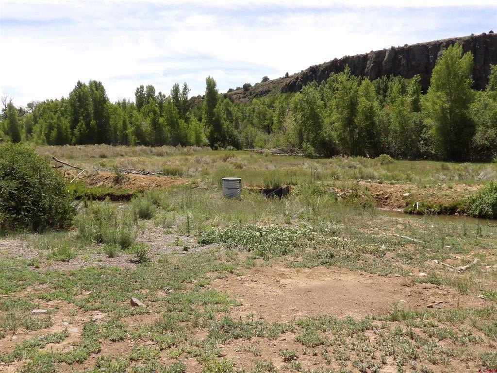 Picture 22