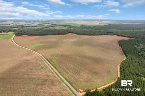 Cleared Agricultural Farmland
