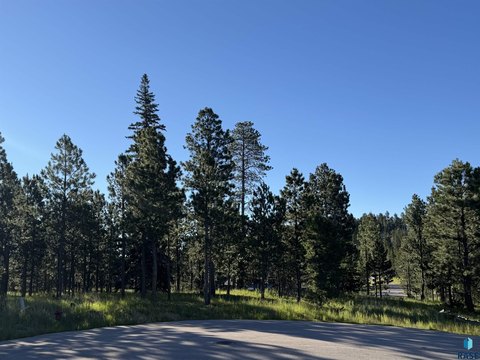 One Acre Lot in Lead