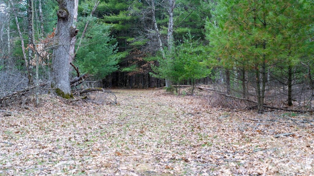 Picture 32