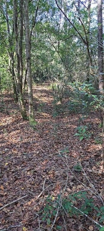 Residential Land in Eight Mile