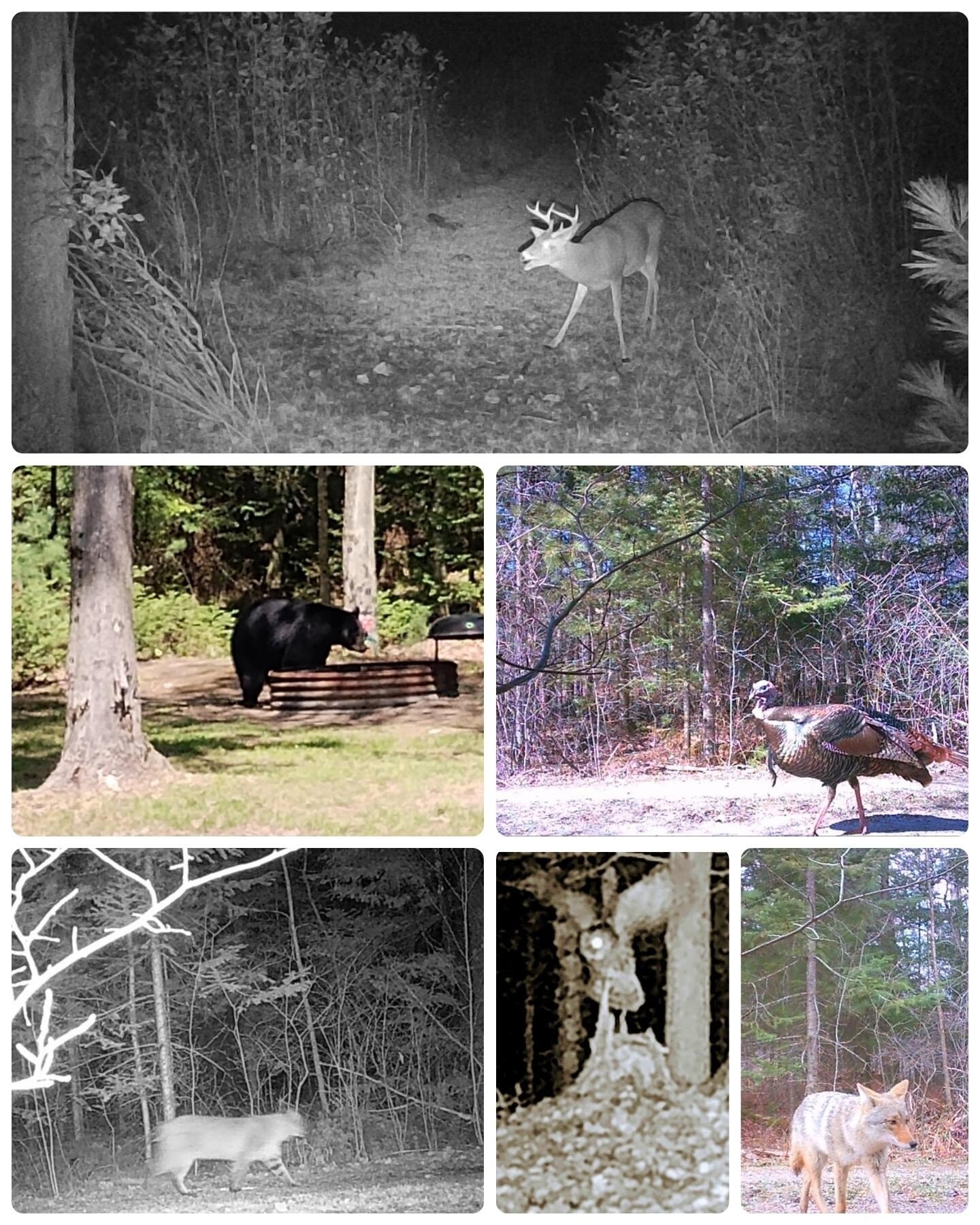 Waterfront Hunting Camp on Spring Creek