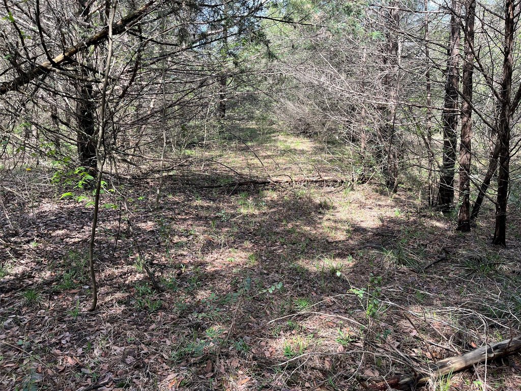 Picture 15