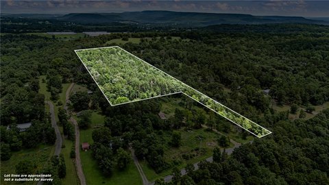 Wooded Residential Land Lot