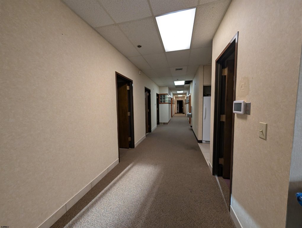 Picture 37