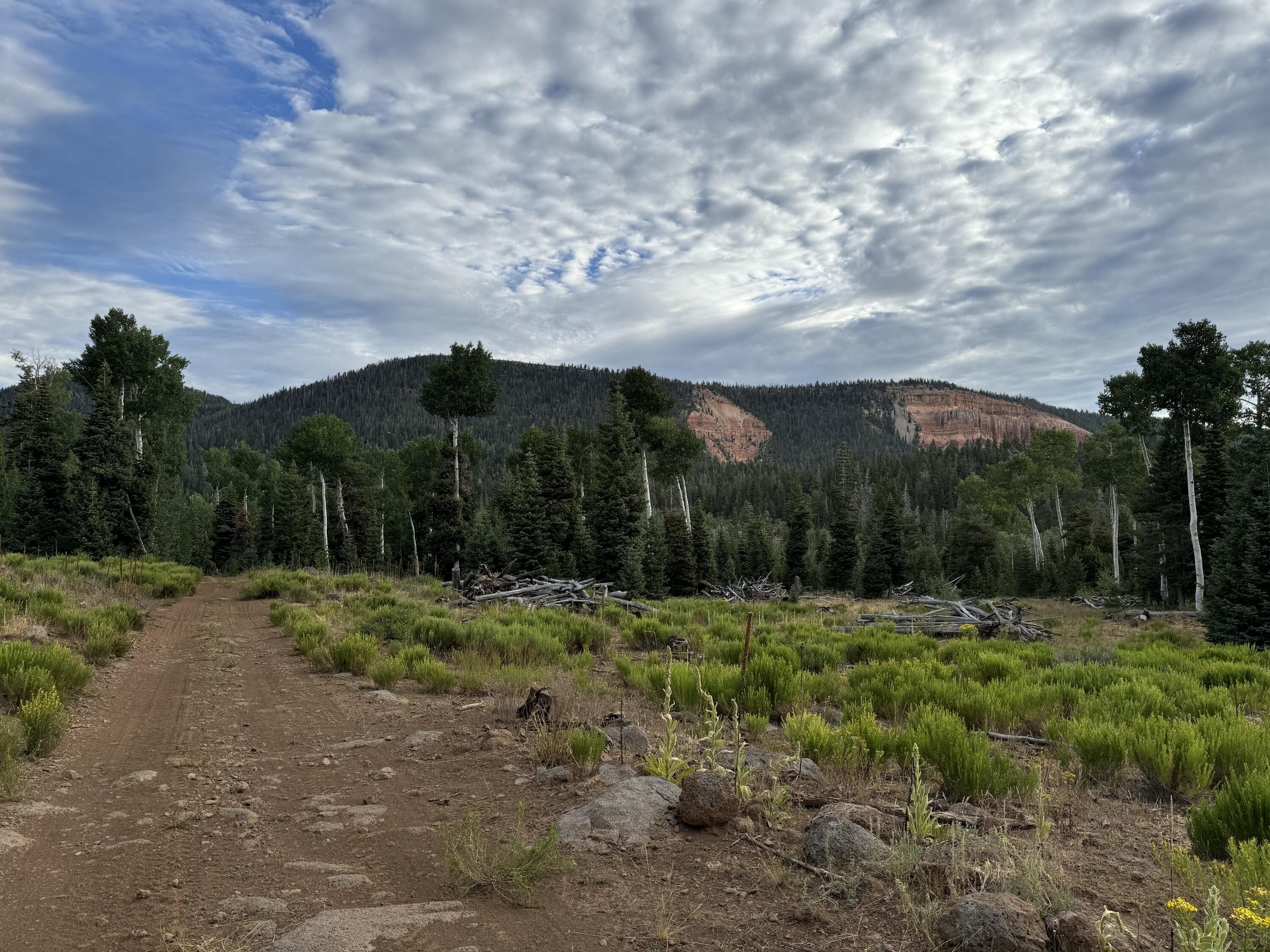 Duck Creek Land For Sale