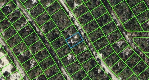 Residential Land in Sun N Lakes