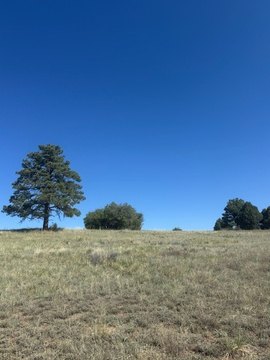 Chama, NM Land with Utilities