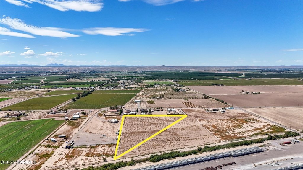 Picture 5
