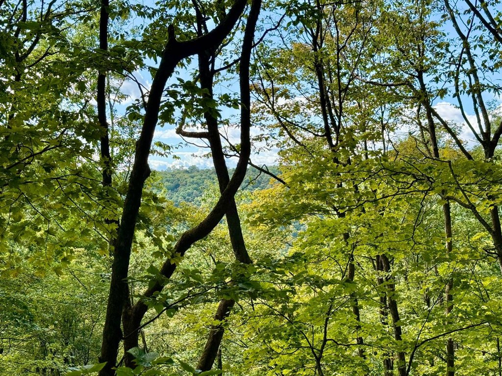 Picture 9