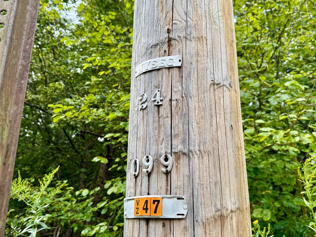 Picture 56