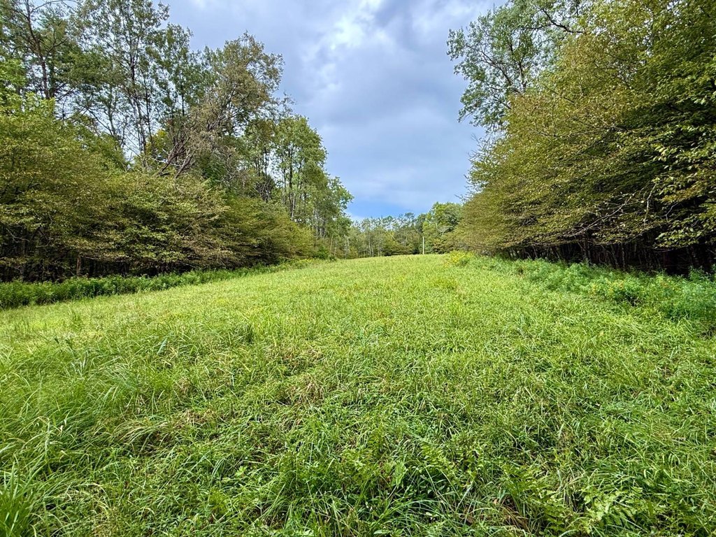 Picture 28