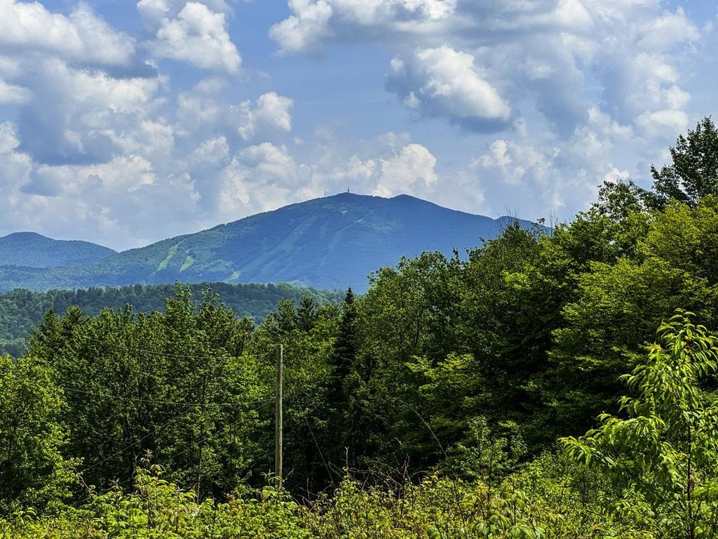 Picture 33