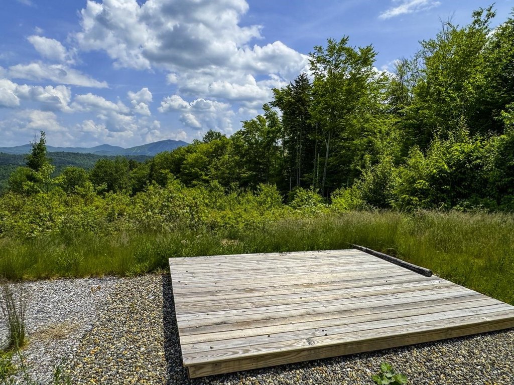 Picture 7