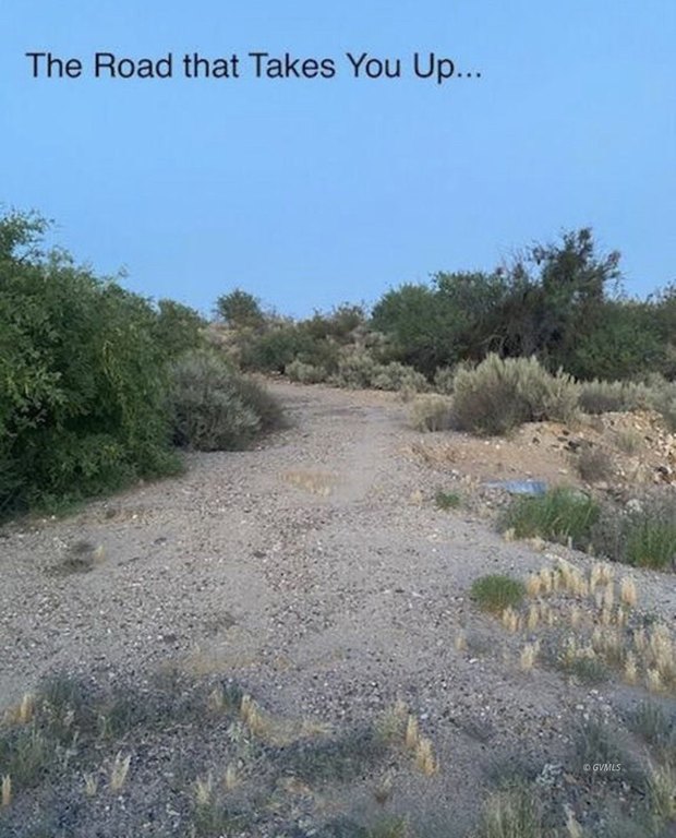 Picture 3