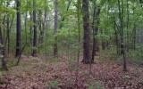 LAND - Murphy, NC