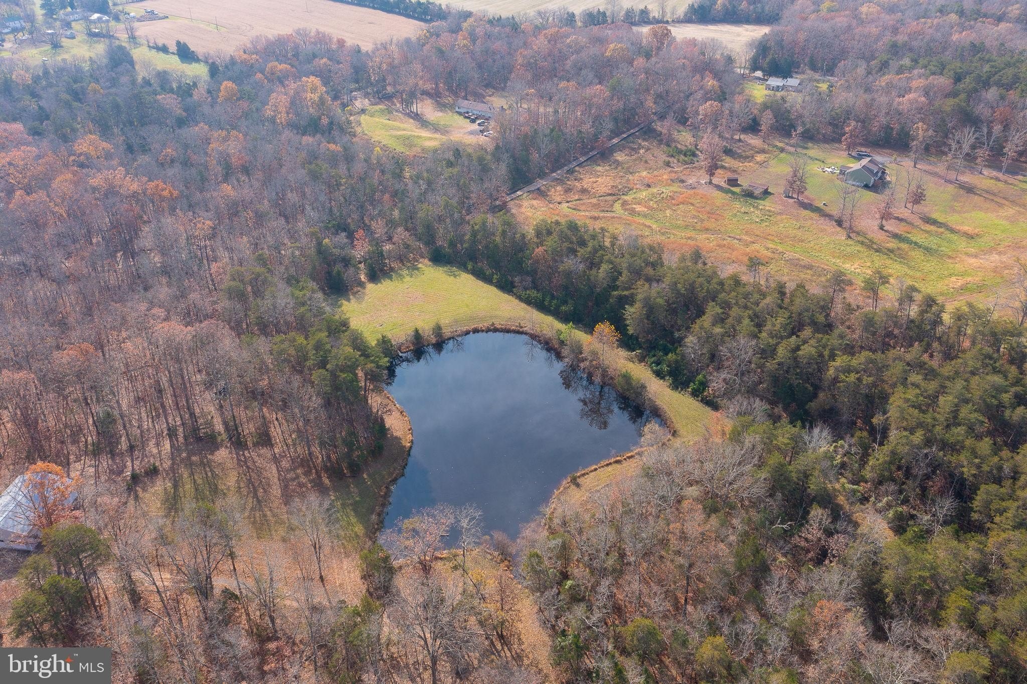 Wooded Land in Catlett, Virginia
