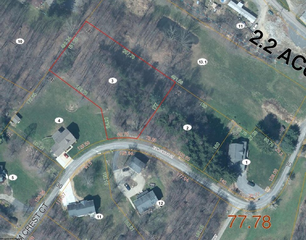 Picture 6