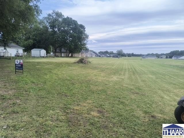 Picture 5