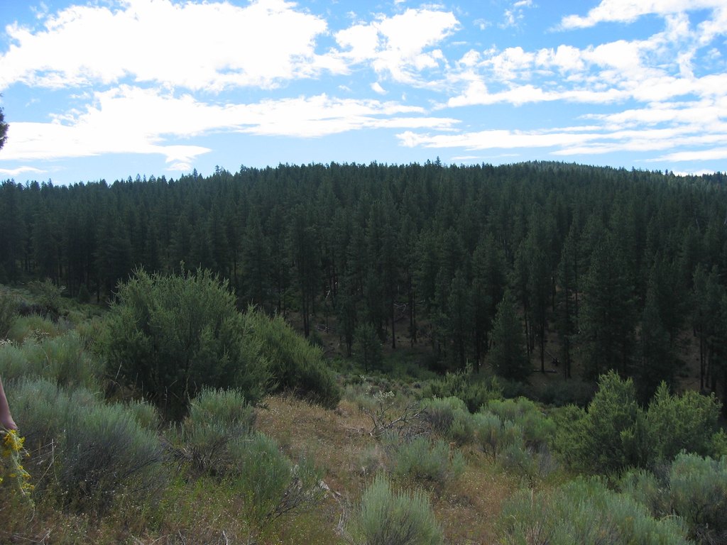 Picture 9