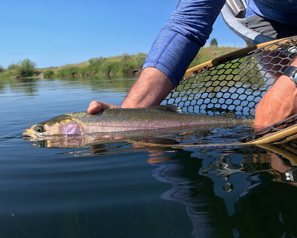 Picture 10