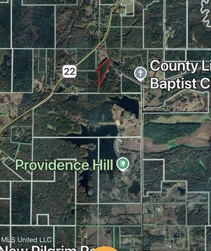 Wooded Acreage in Hinds County