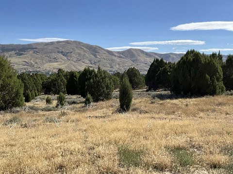 LOTS/LAND, Pocatello, ID