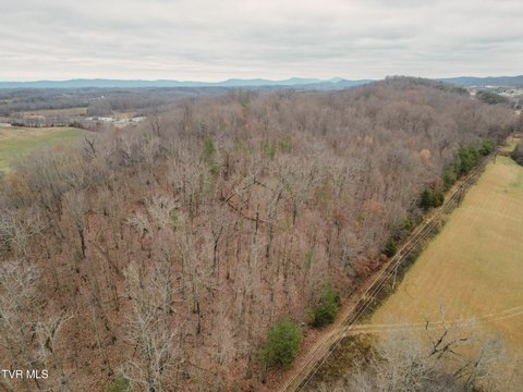 Wooded Acreage in Greeneville, TN