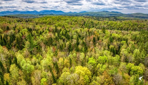 Adirondack Land Near Lake Clear