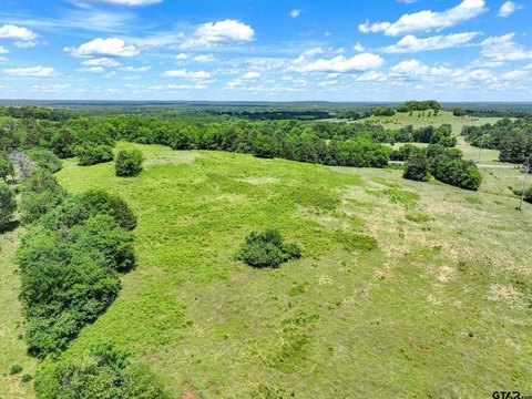 5-Acre Land Parcel in Bullard